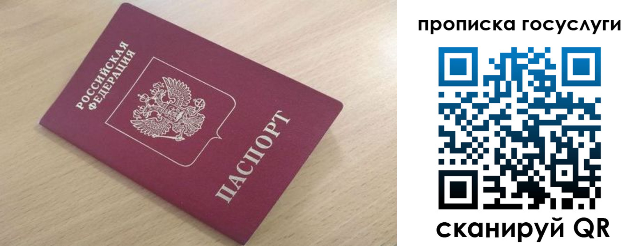 найти адрес прописки в Александровске-Сахалинском
